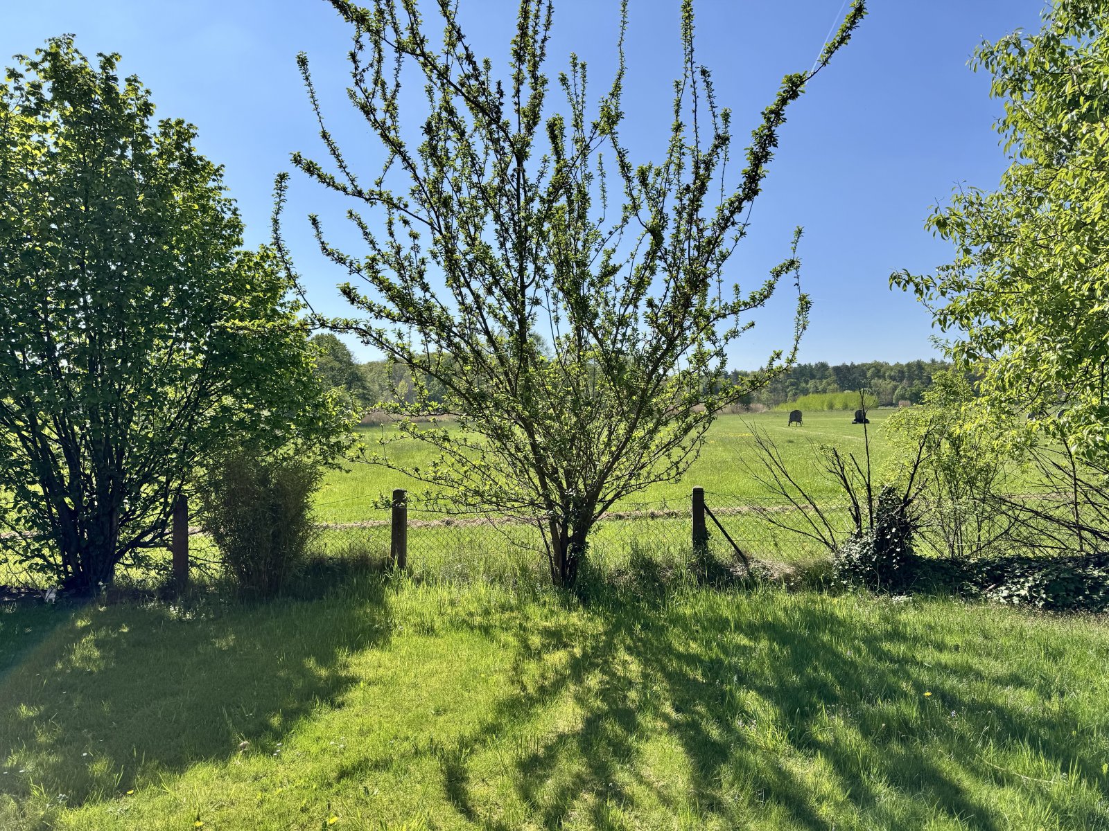 Wohnen auf zwei Ebenen mit Weitblick ins Grüne