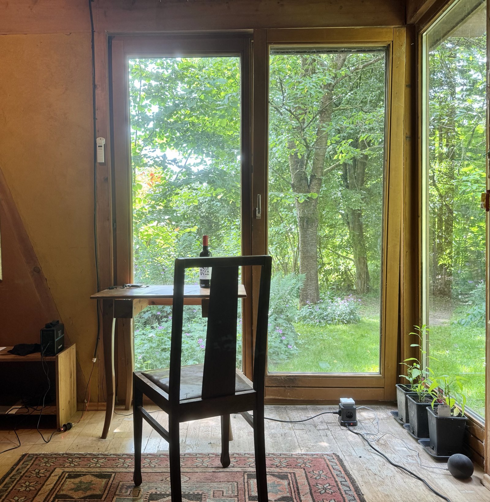 zukunftsorientiertes Einfamilienhaus in Waldlage