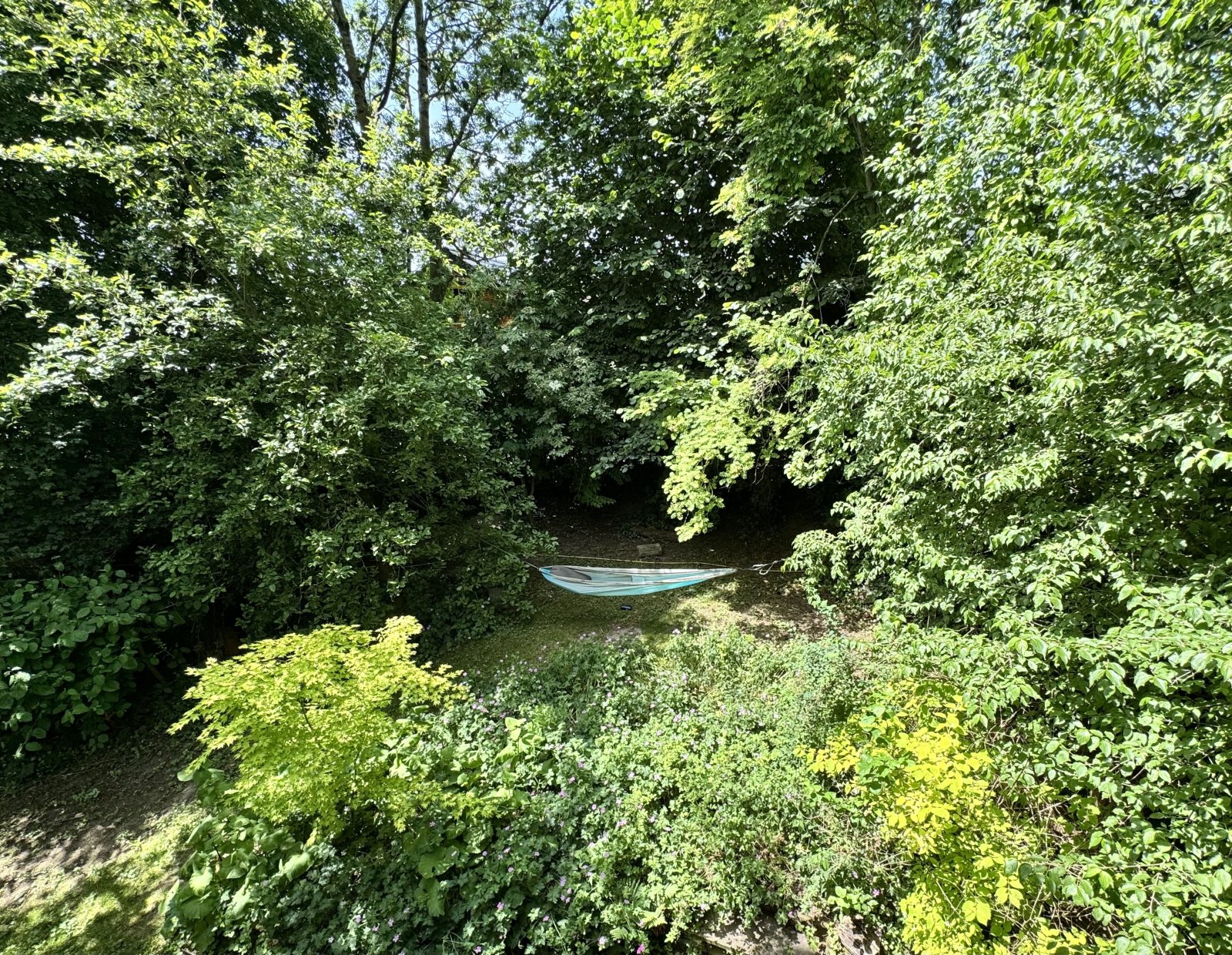 zukunftsorientiertes Einfamilienhaus in Waldlage