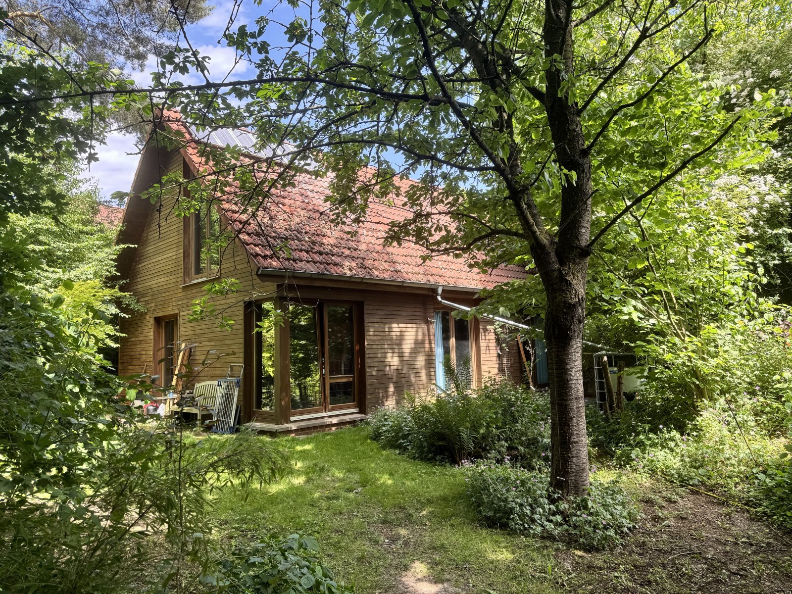 zukunftsorientiertes Einfamilienhaus in Waldlage