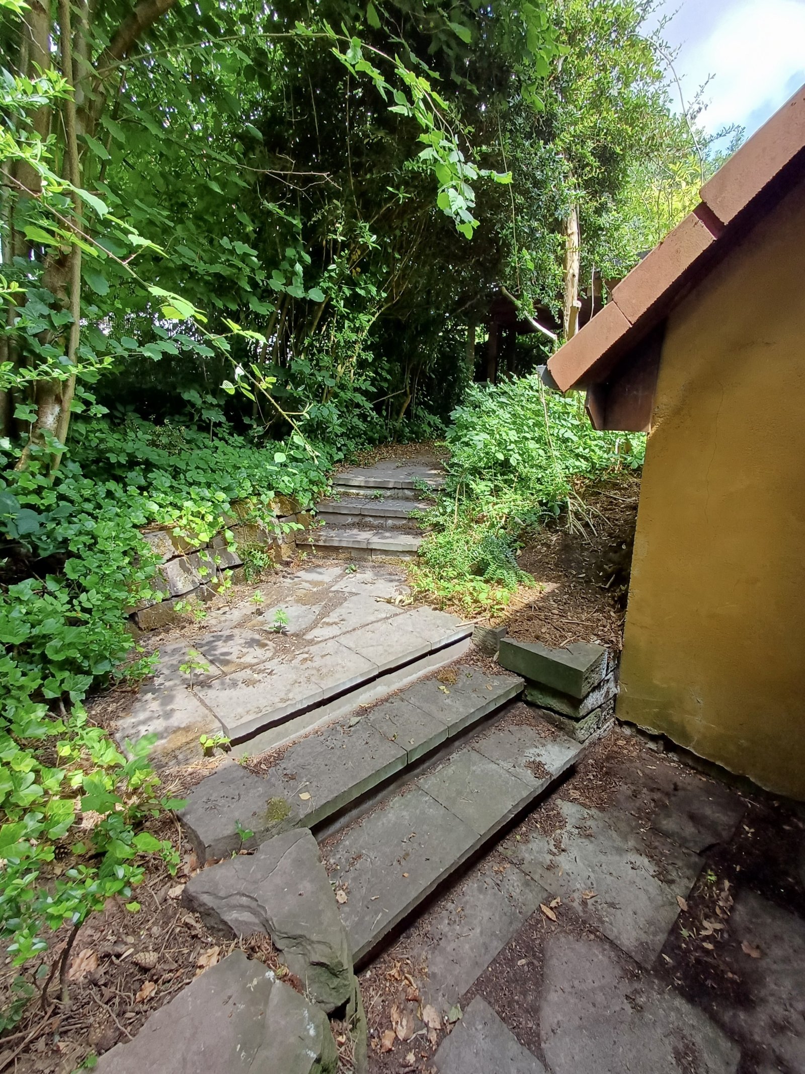 zukunftsorientiertes Einfamilienhaus in Waldlage