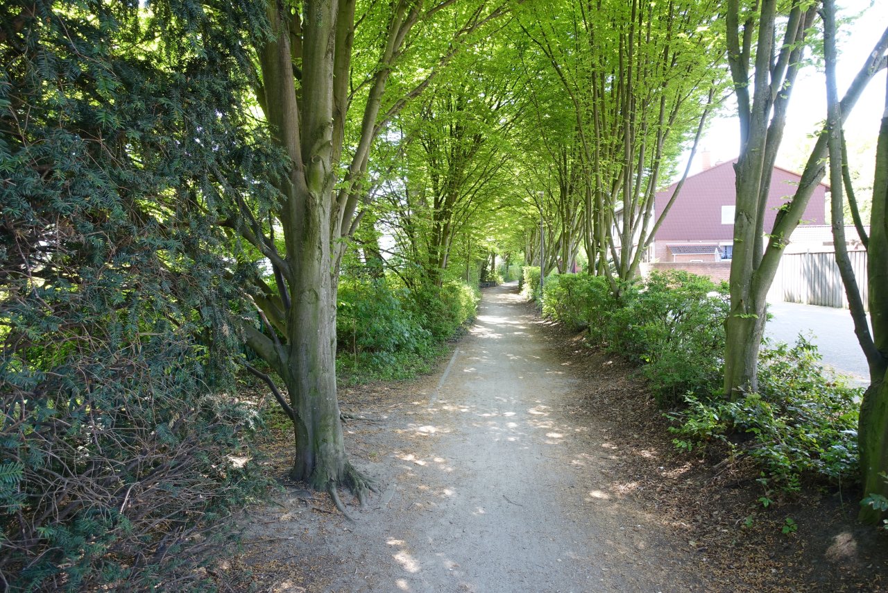 Bürgerpark Bürgerpark
