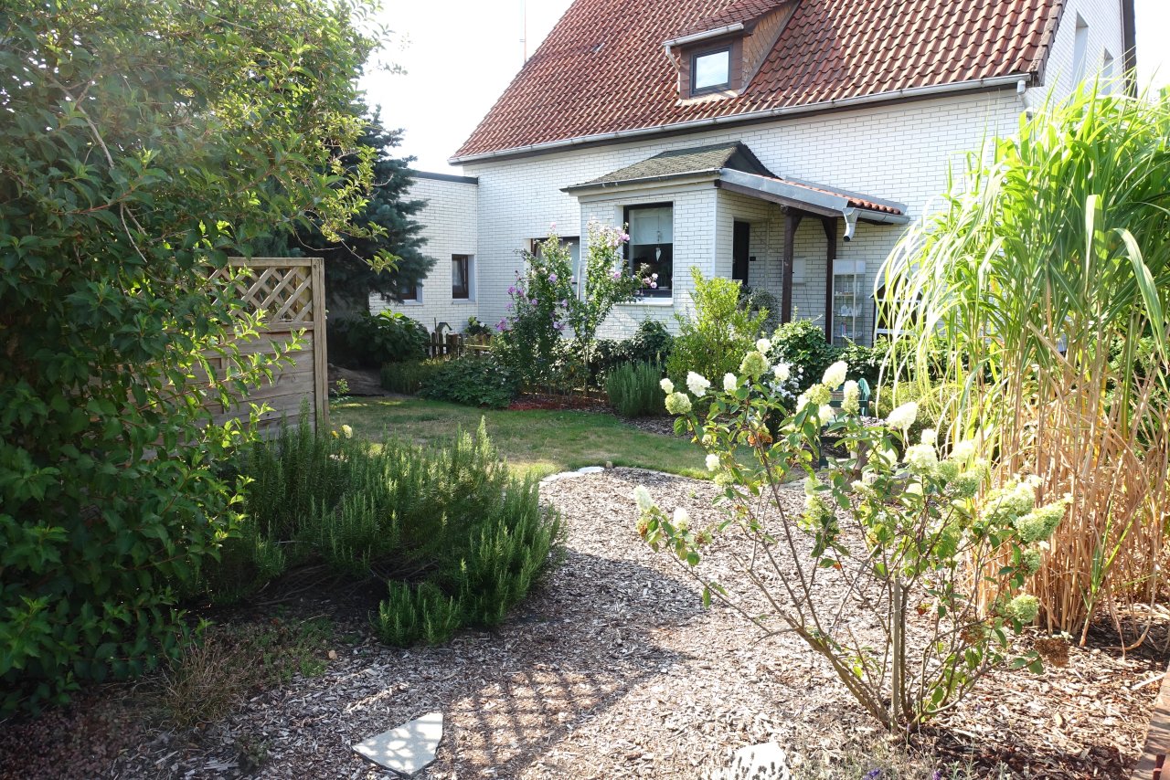 Blick in den Garten 