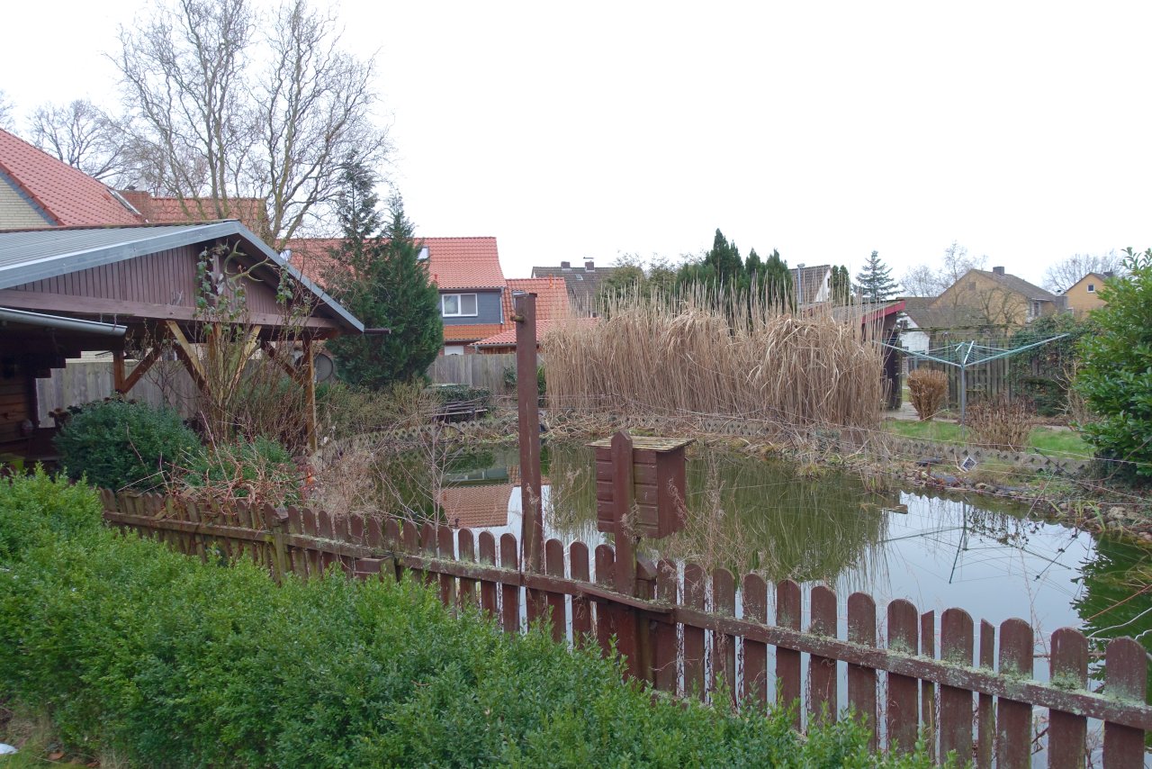 Gartenteich Gartenteich