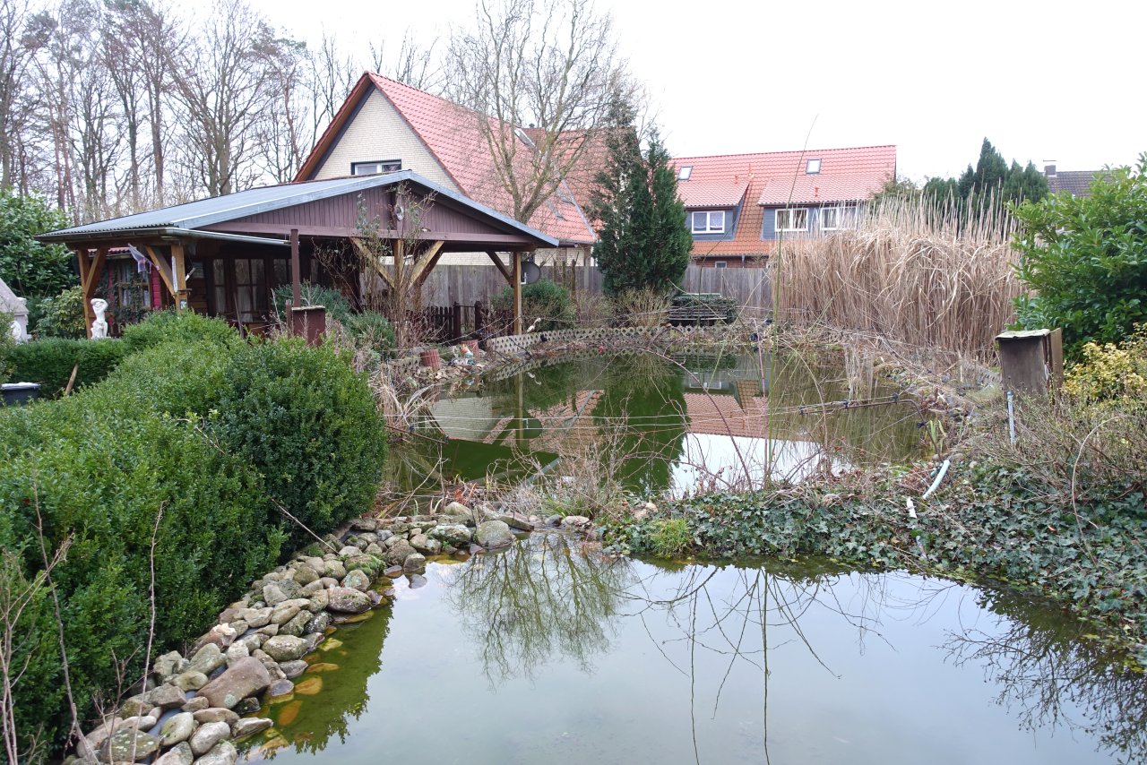 Gartenteich Gartenteich