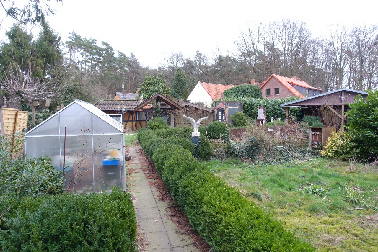 Blick in den Garten