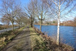Zweigkanal 