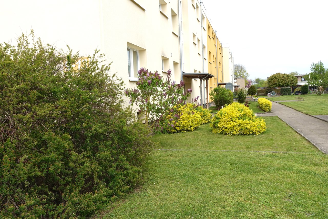 Vorgarten Vorgarten