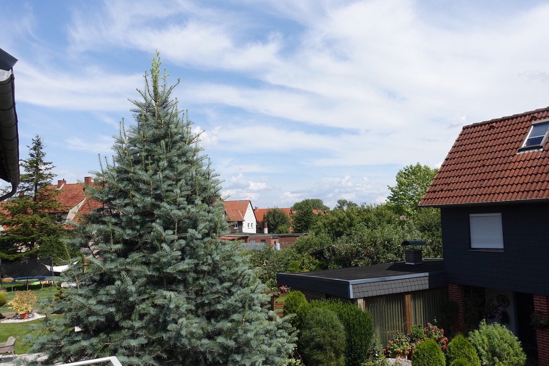 Blick vom Balkon Blick vom Balkon