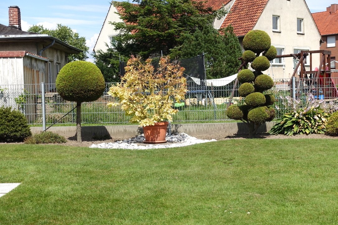 Blick in den Garten 