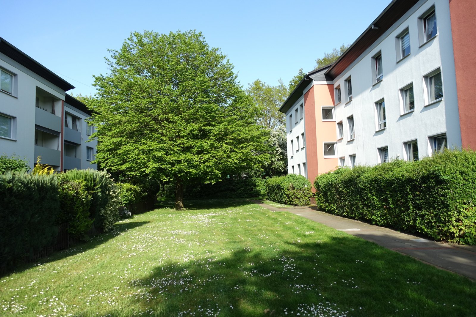 Grünanlage Grünanlage