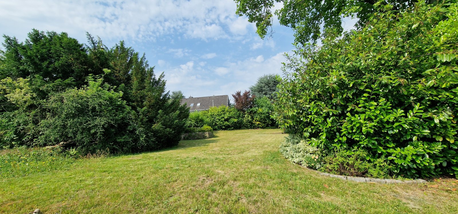 Blick in den Garten Blick in den Garten