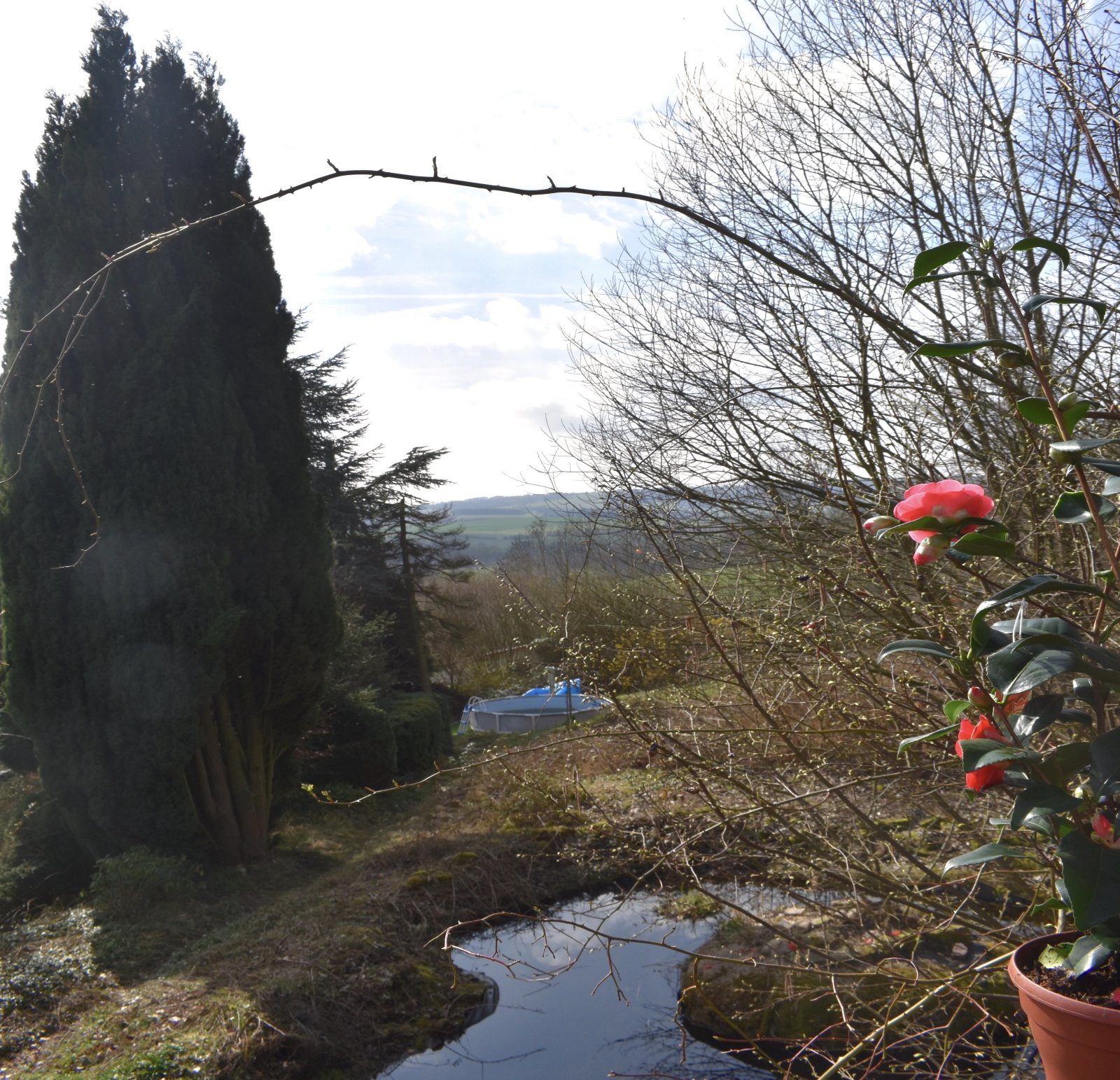 Fernblick Fernblick