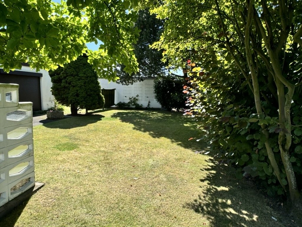 Blick in den Garten Blick in den Garten