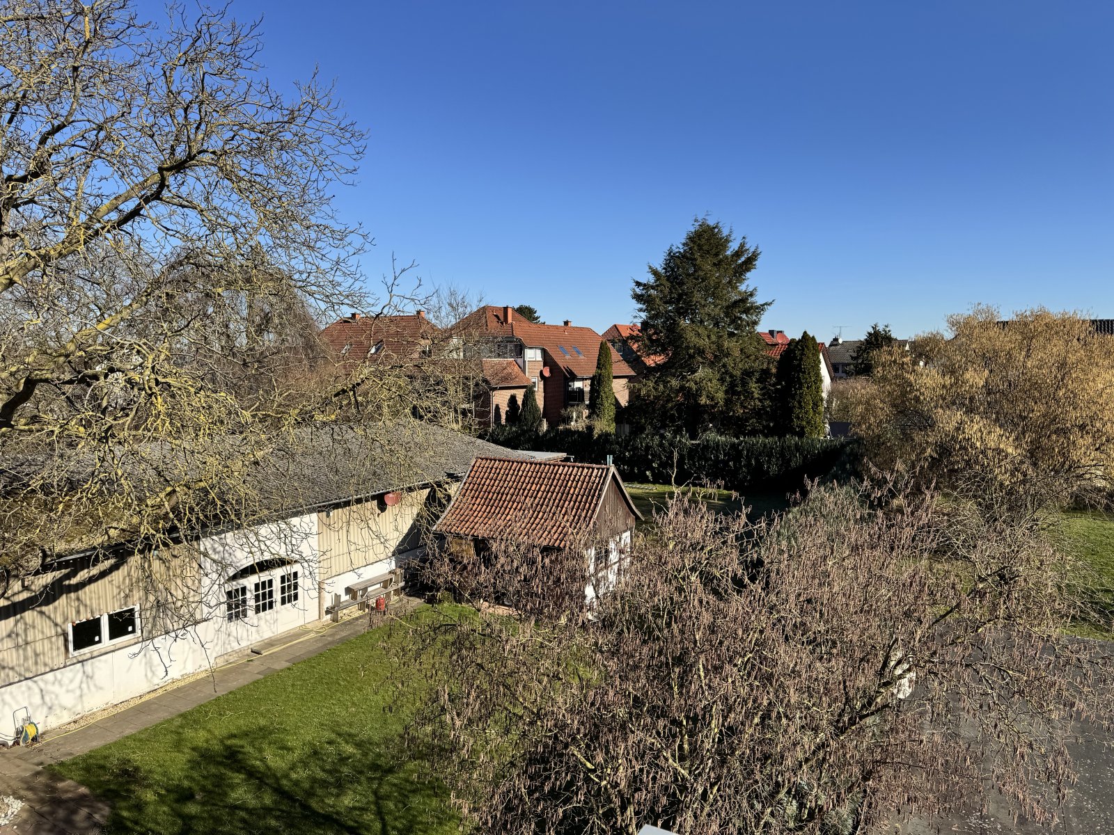 Blick ins Grüne Blick ins Grüne