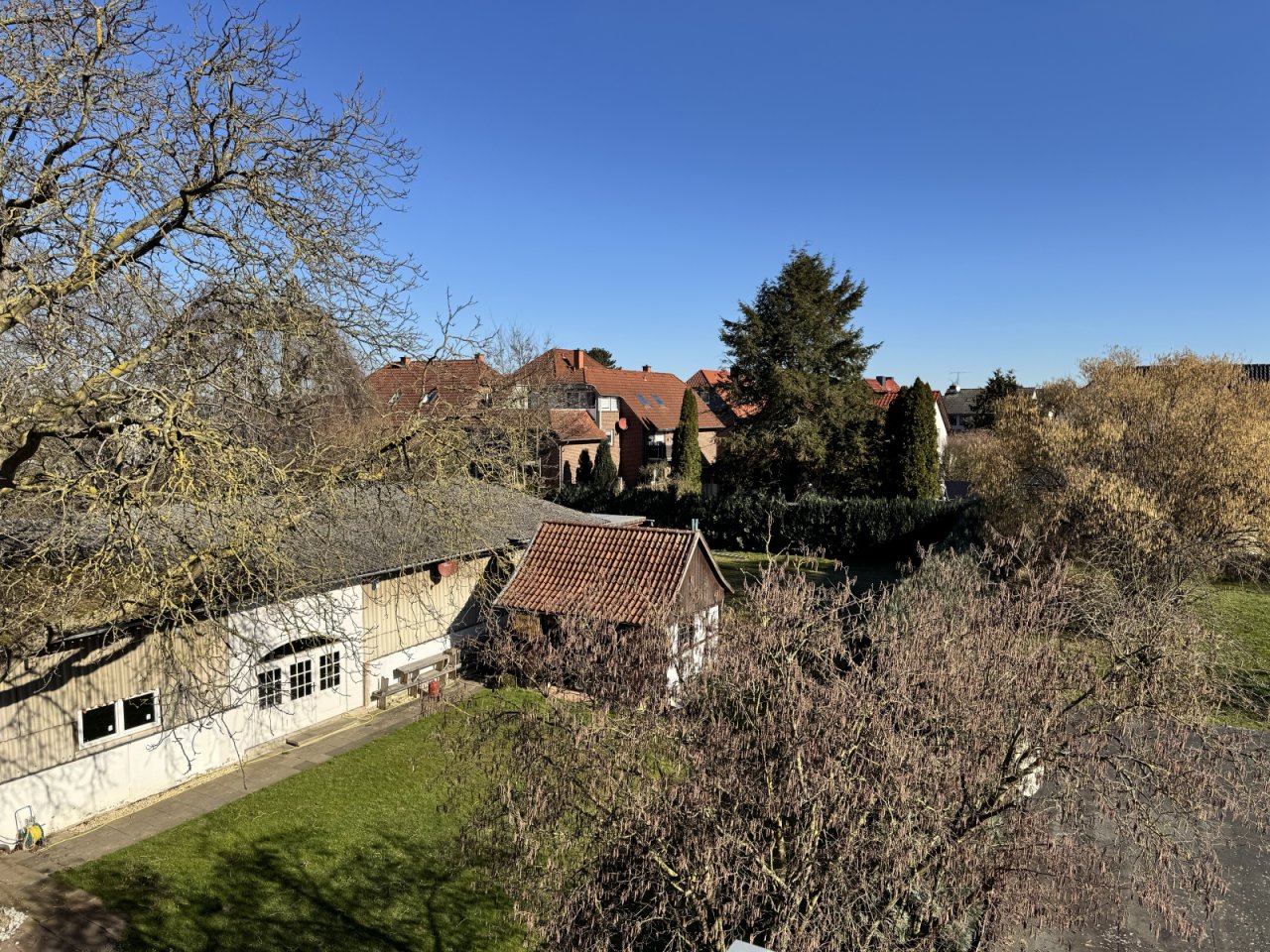 Blick ins Grüne