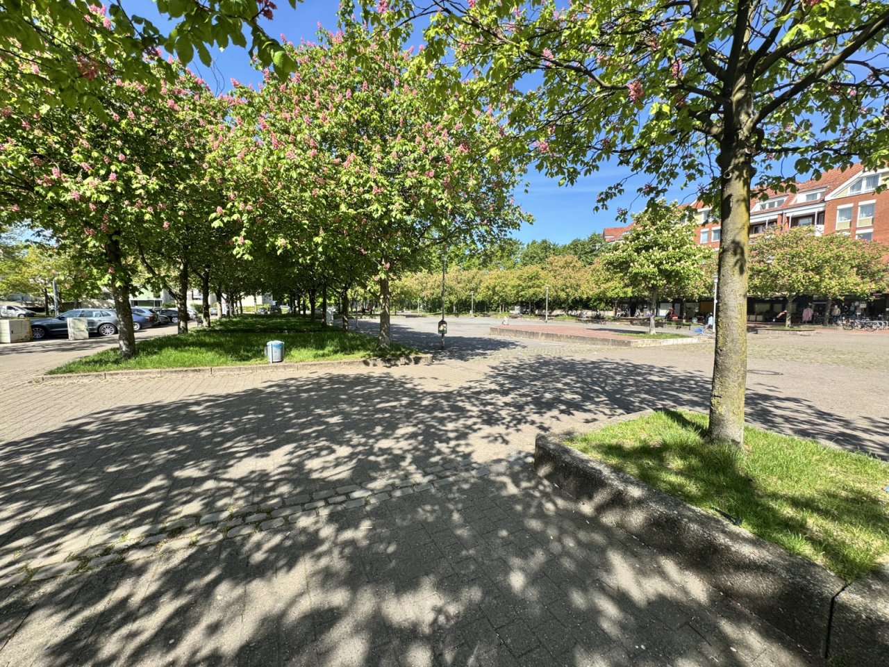 Blick ins Grüne Blick ins Grüne