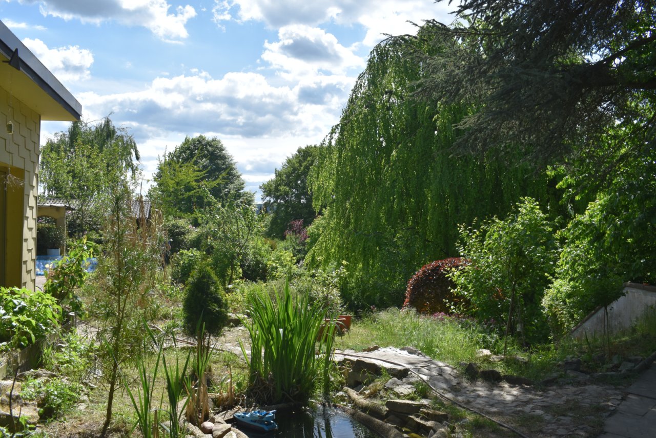 Weitblick Weitblick