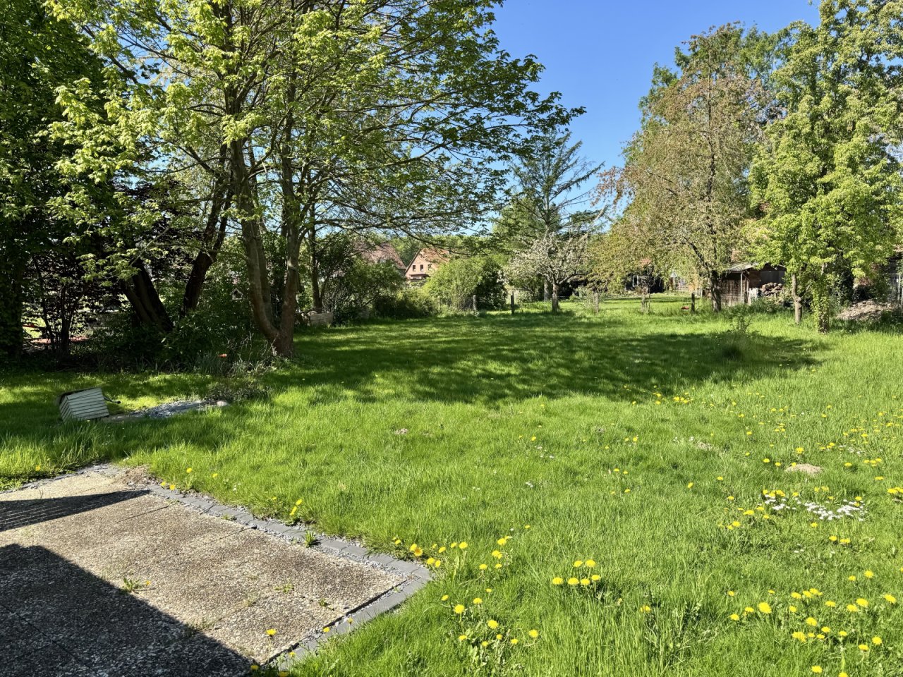 Blick in den Garten Blick in den Garten