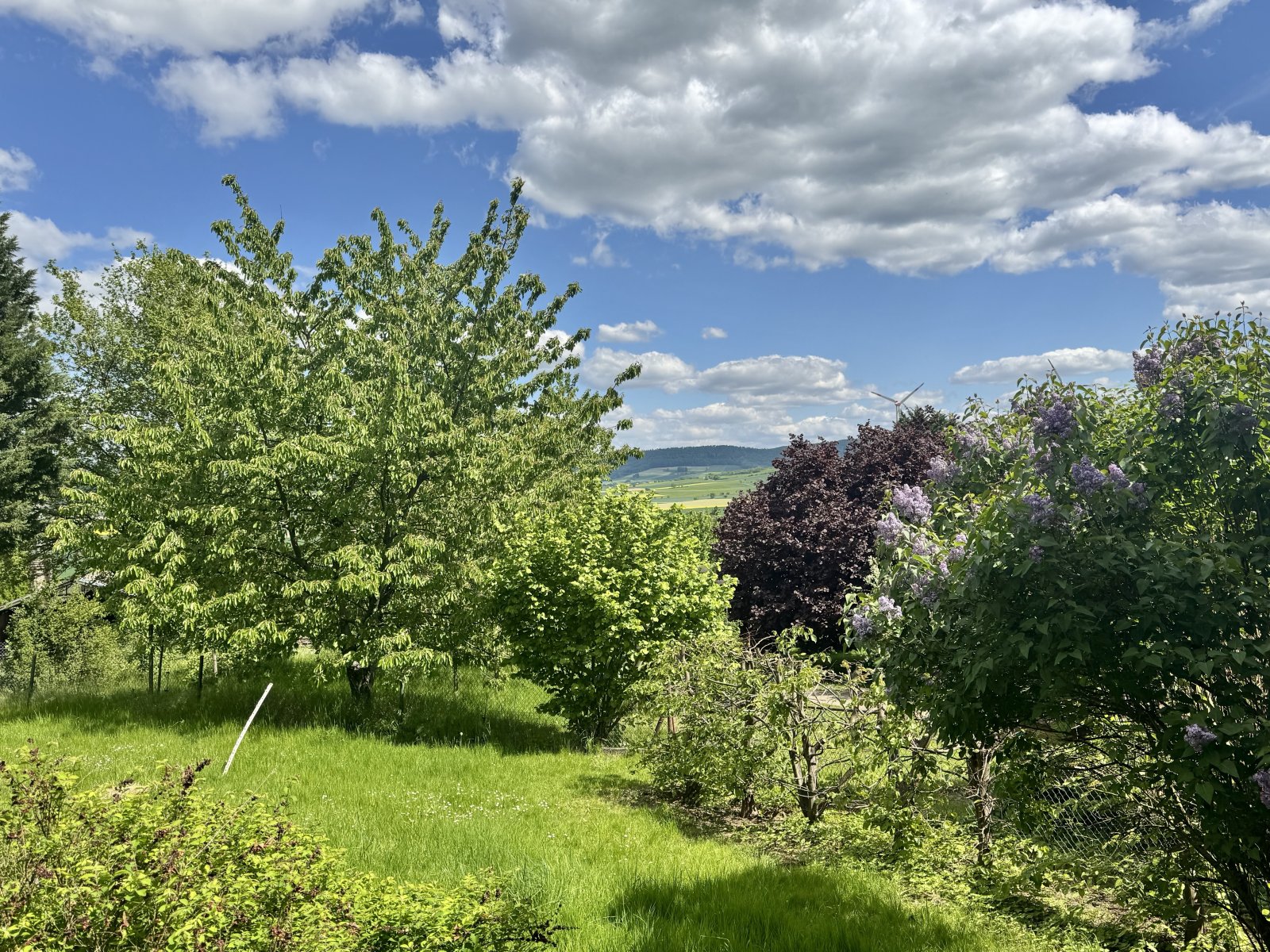 Fernblick Fernblick