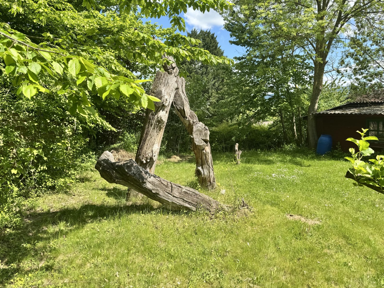Blick in den Garten Blick in den Garten