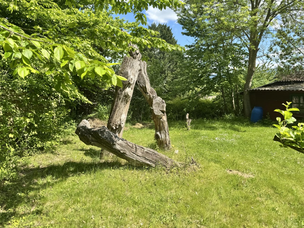 Blick in den Garten Blick in den Garten