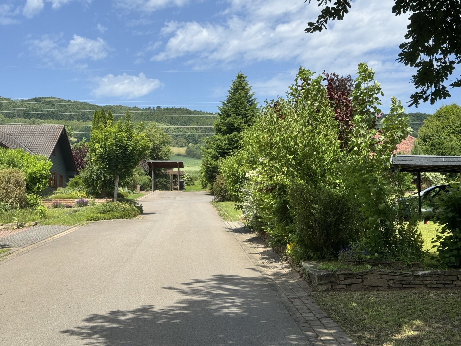 Blick in die Nachbarschaft Blick in die Nachbarschaft