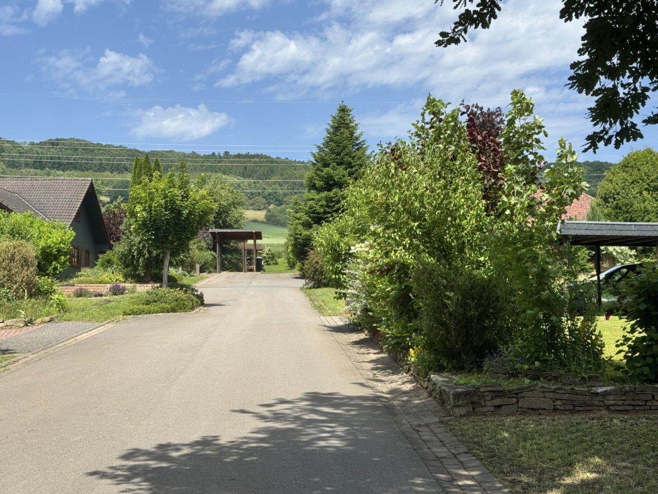 Blick in die Nachbarschaft Blick in die Nachbarschaft
