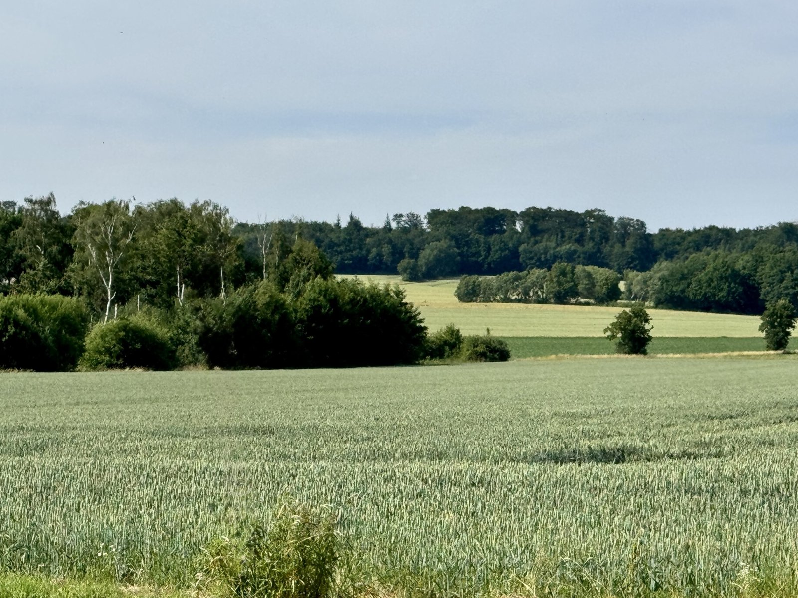 Blick in die Nachbarschaft Blick in die Nachbarschaft