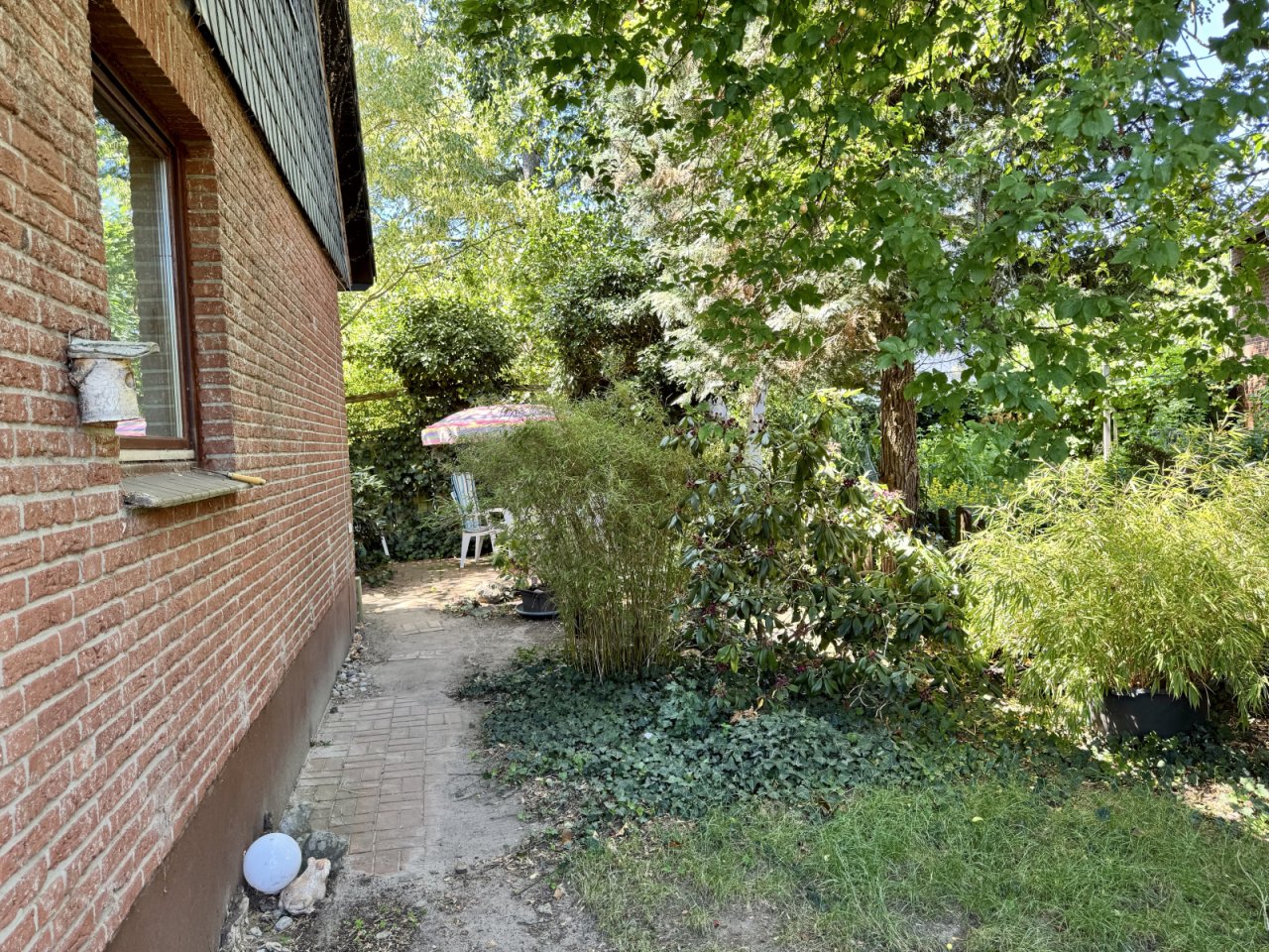 Blick ums Haus Blick ums Haus