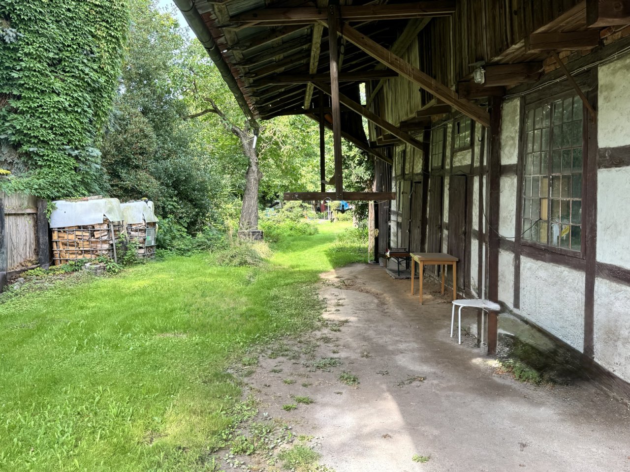 Blick in den Garten Blick in den Garten