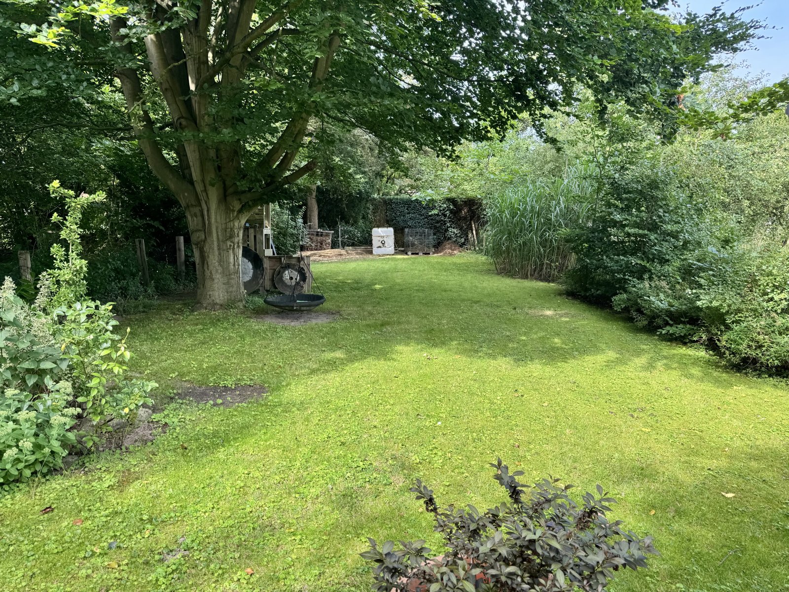 Blick in den Garten Blick in den Garten