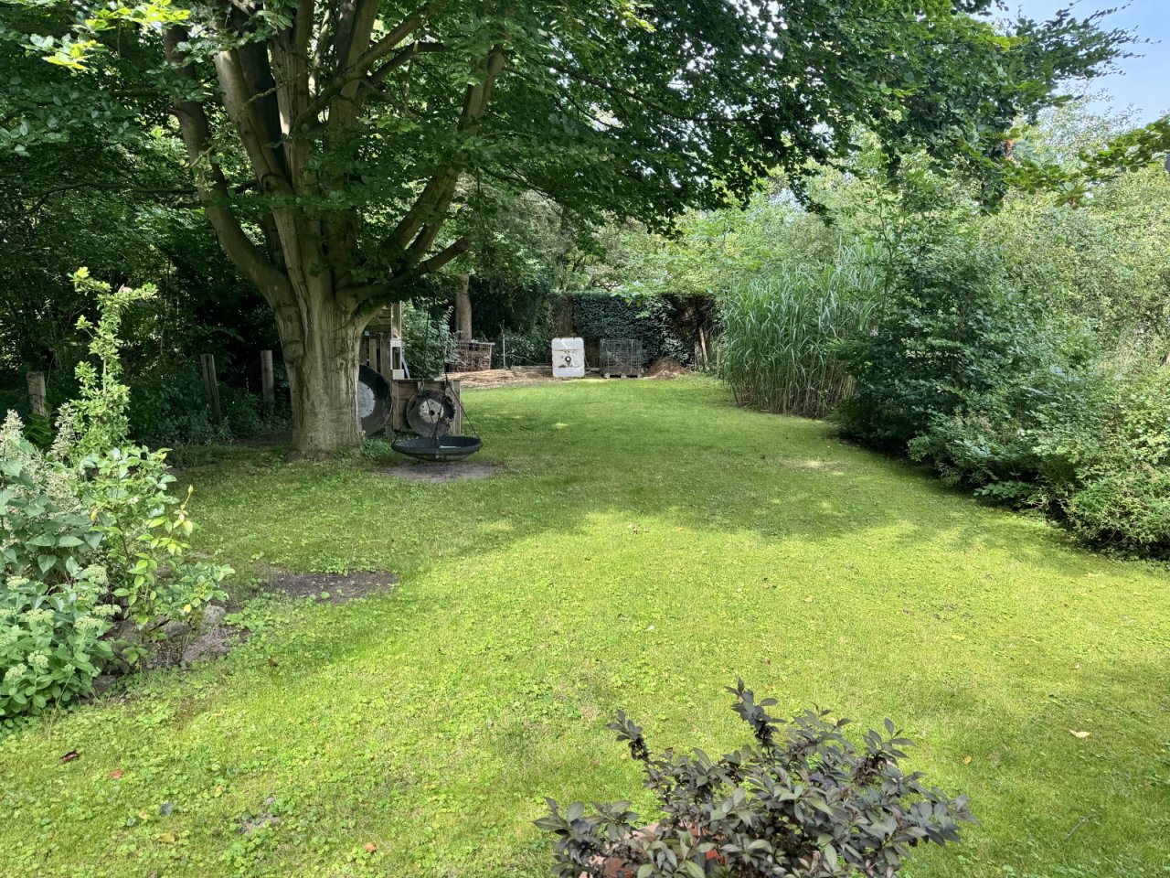 Blick in den Garten Blick in den Garten