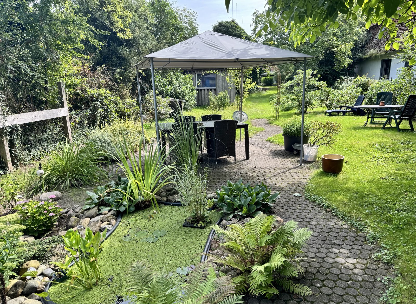 Gartenteich Gartenteich