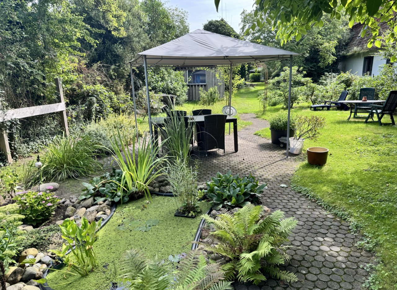 Gartenteich Gartenteich