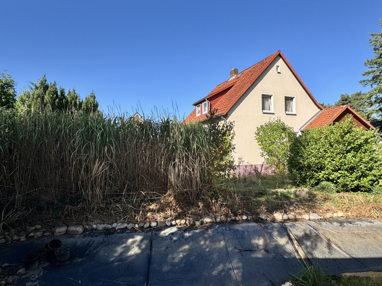 Hausansicht seitlich 