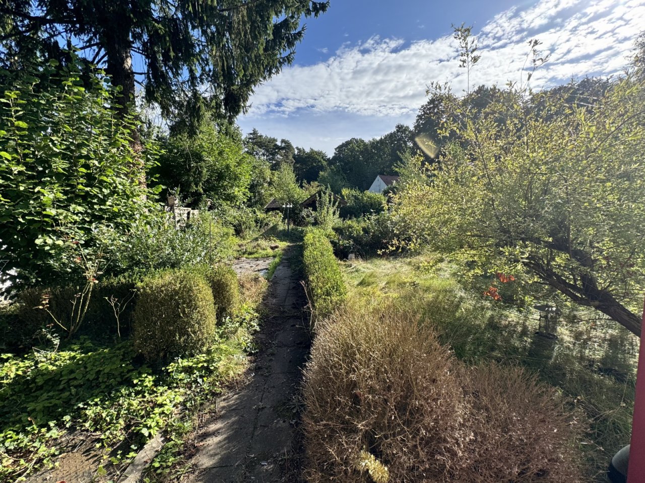 Blick in den Garten