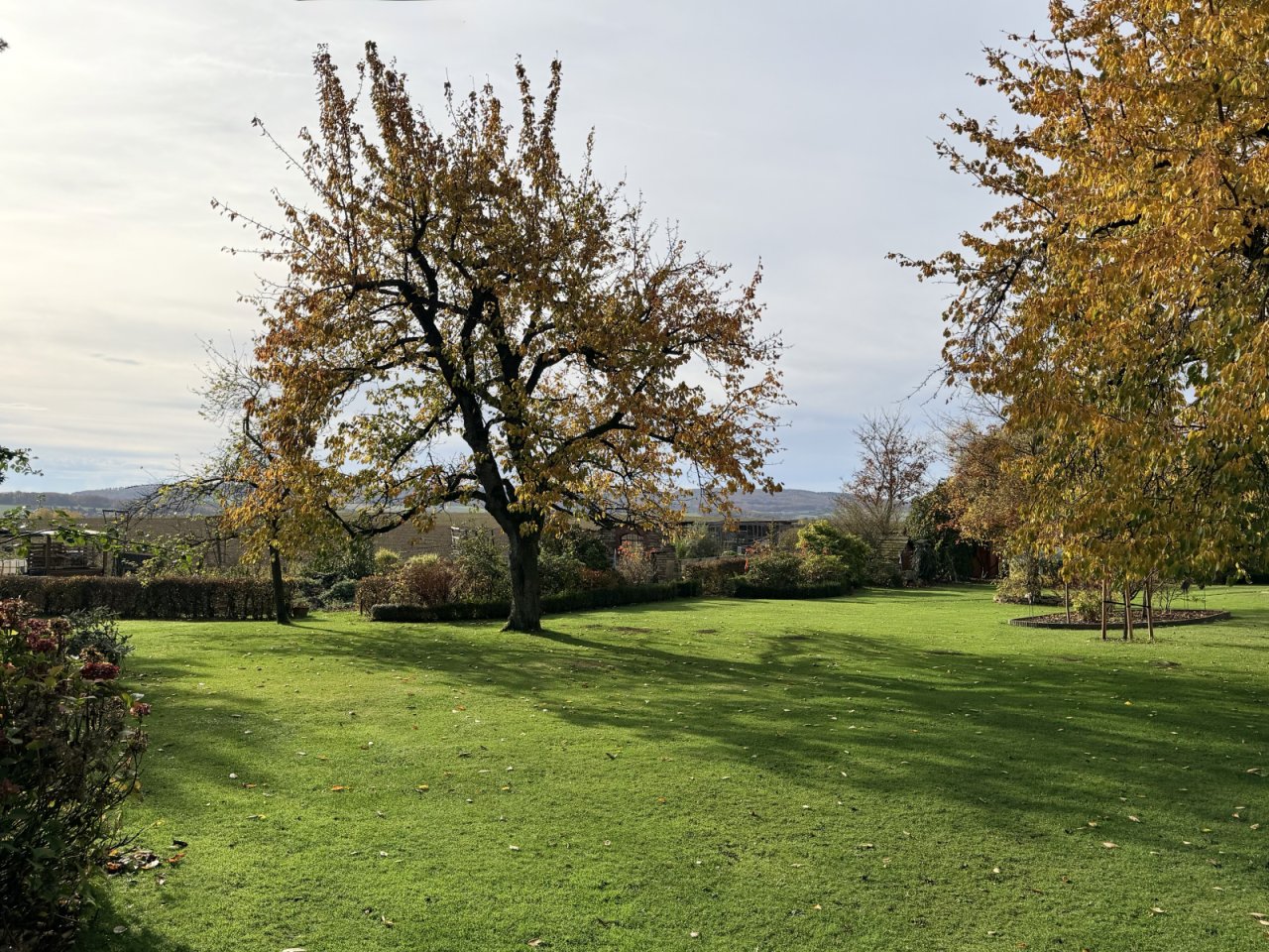Herbstimpressionen Herbstimpressionen
