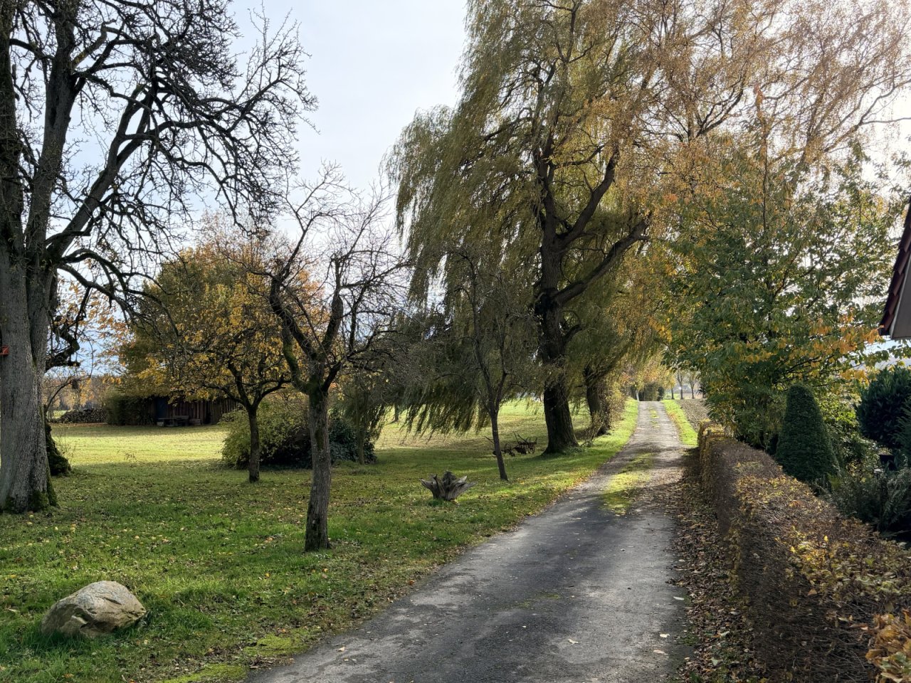 Blick in die Nachbarschaft Blick in die Nachbarschaft