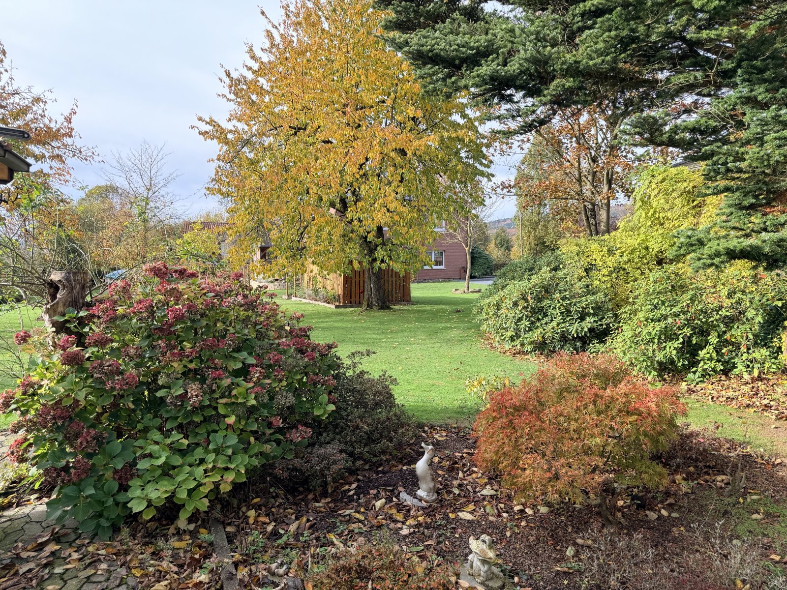 Blick in den Garten Blick in den Garten