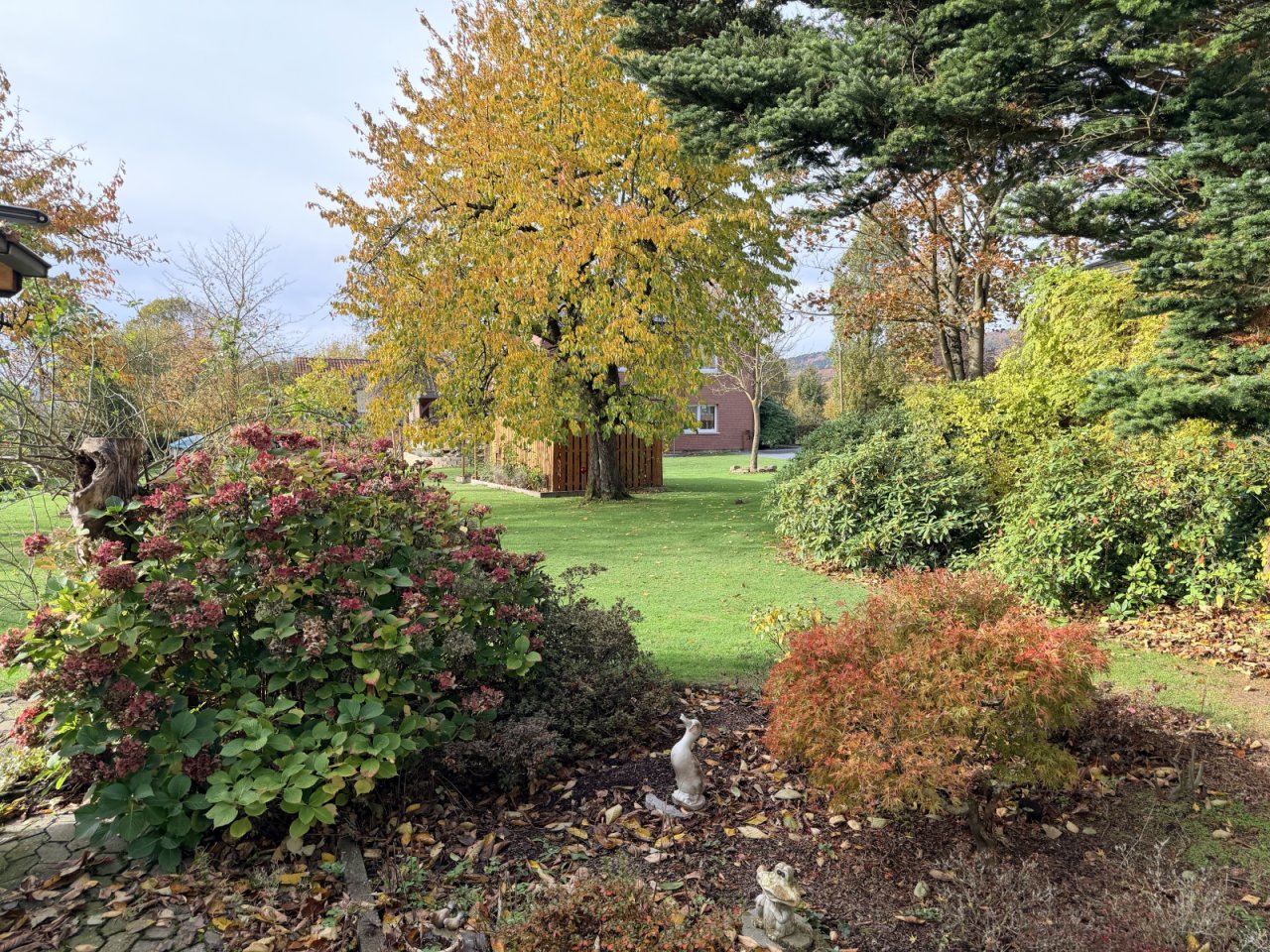 Blick in den Garten Blick in den Garten