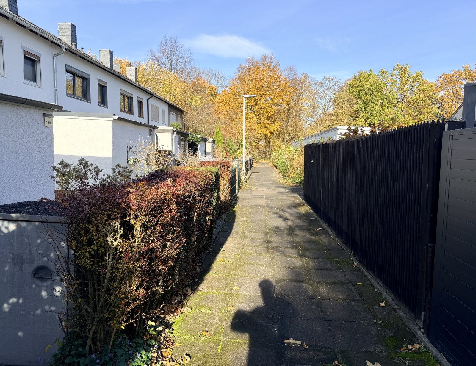 Blick in die Nachbarschaft Blick in die Nachbarschaft