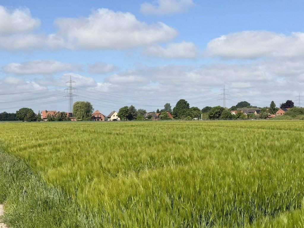 Blick über die Felder Blick über die Felder