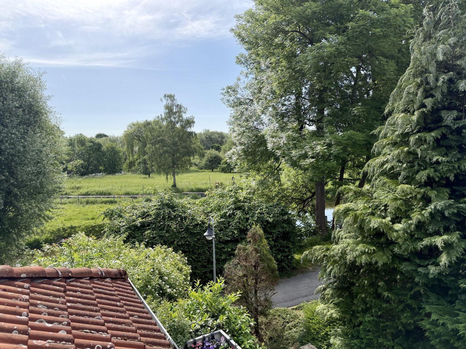 Blick vom Balkon Blick vom Balkon
