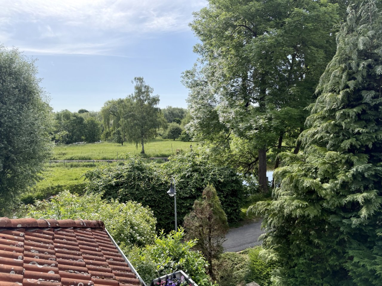 Blick vom Balkon Blick vom Balkon