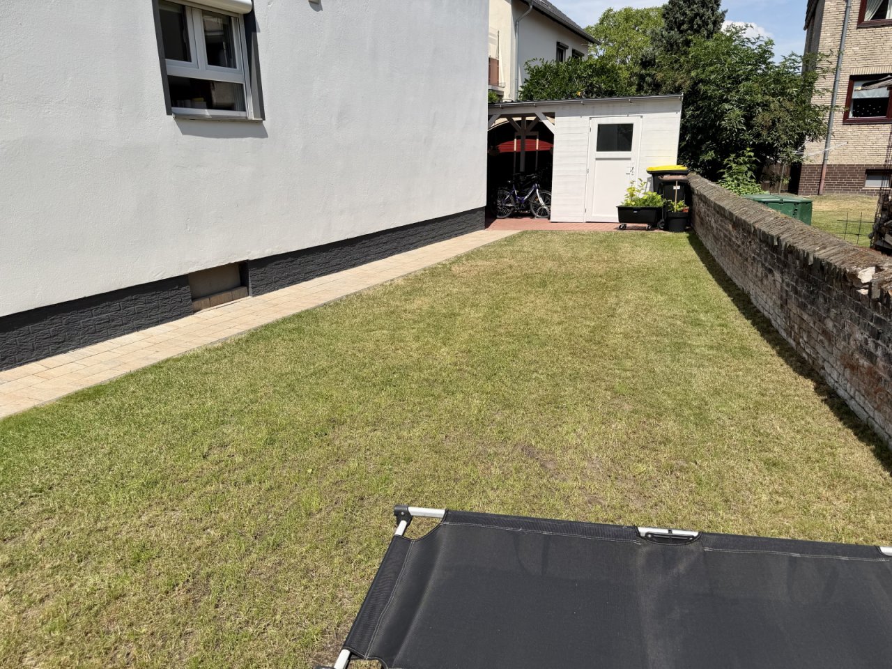 Blick in den Garten