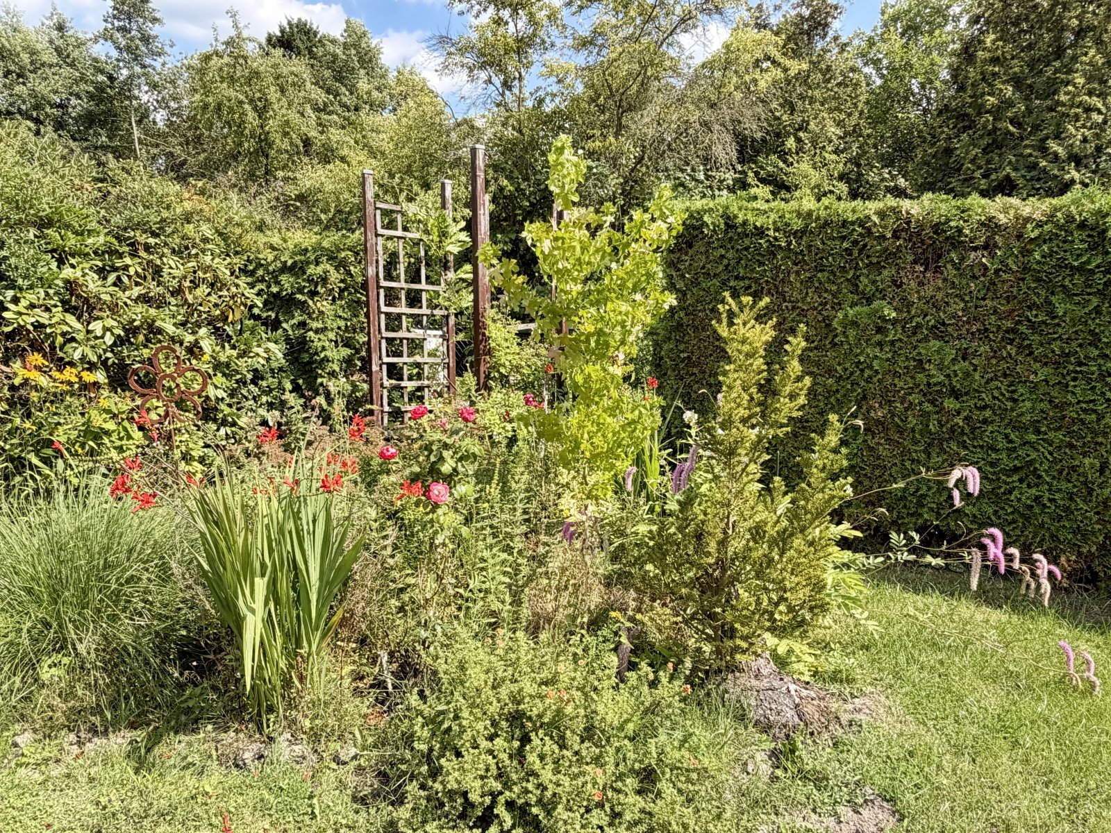 Blick in den Garten Blick in den Garten