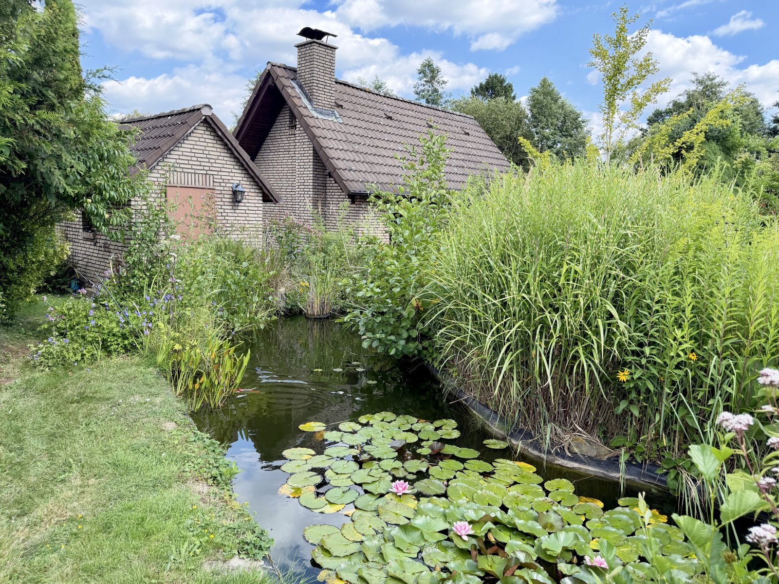 Gartenteich Gartenteich