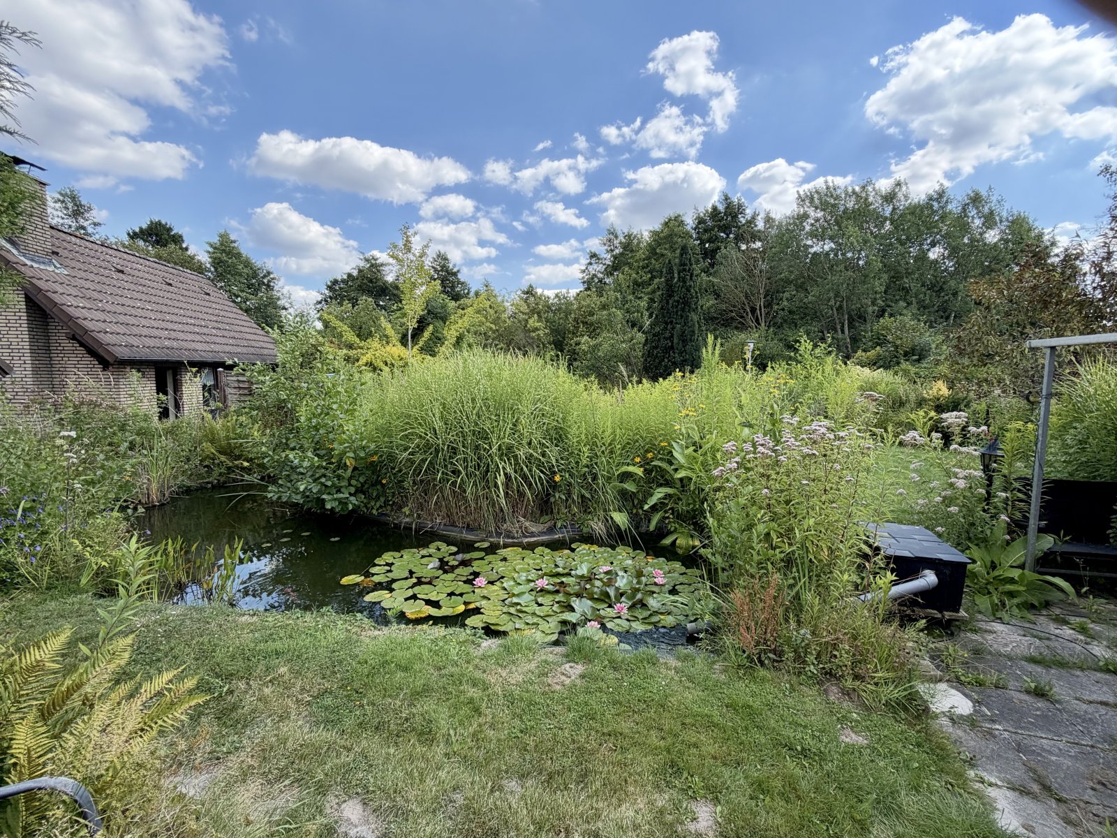 Gartenteich Gartenteich