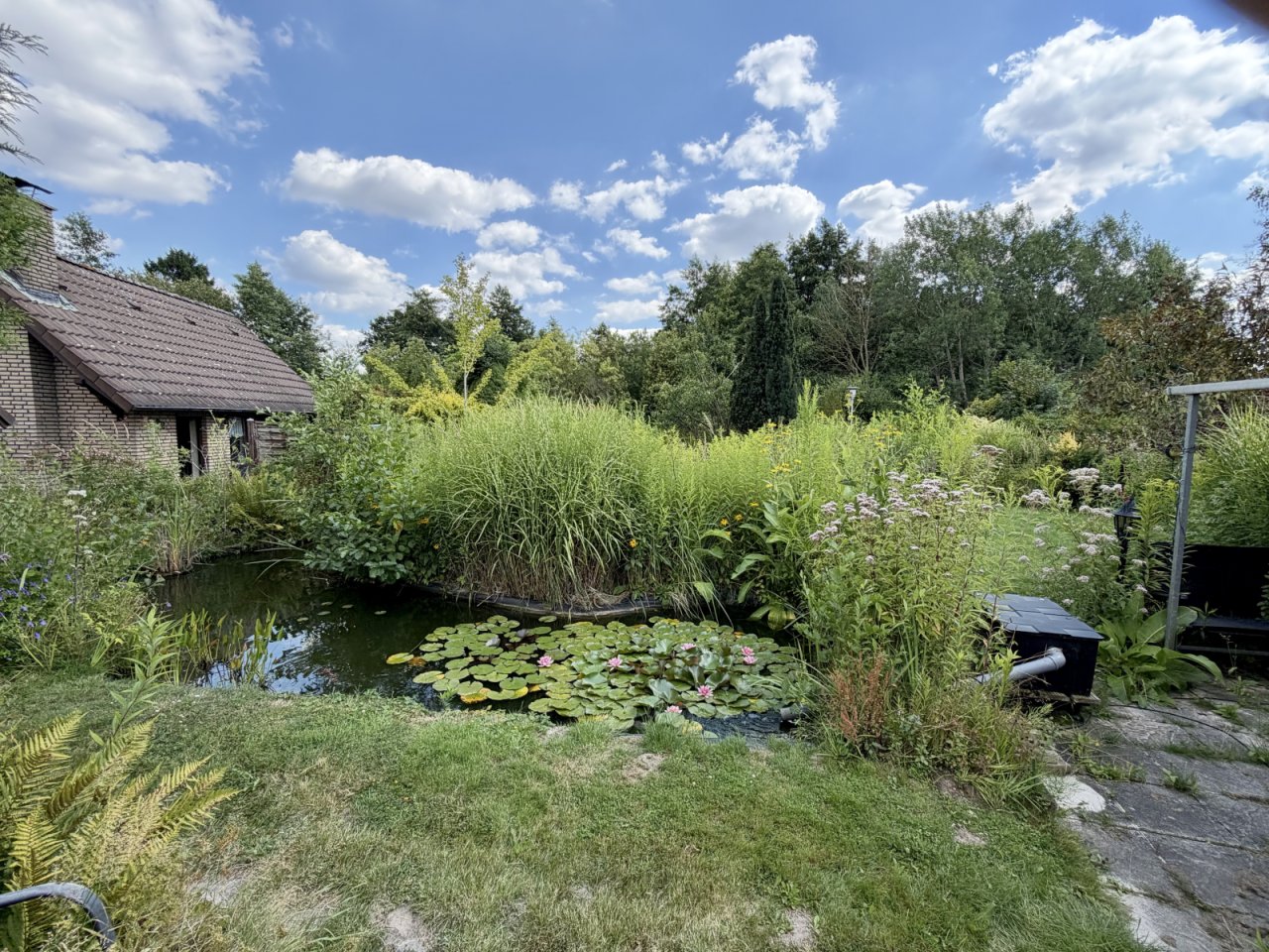 Gartenteich Gartenteich